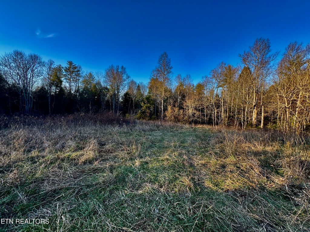 Photo of Four Mile Creek Rd, Deer Lodge, TN 37726 (MLS # 1324761)