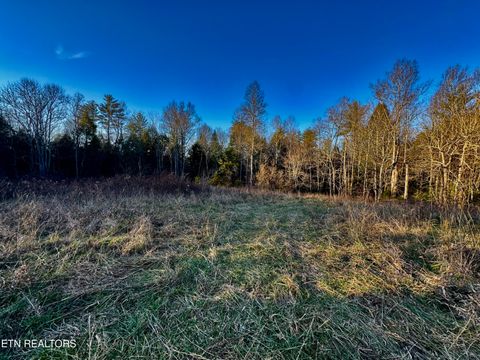 Tiny photo for Four Mile Creek Rd, Deer Lodge, TN 37726 (MLS # 1324761)