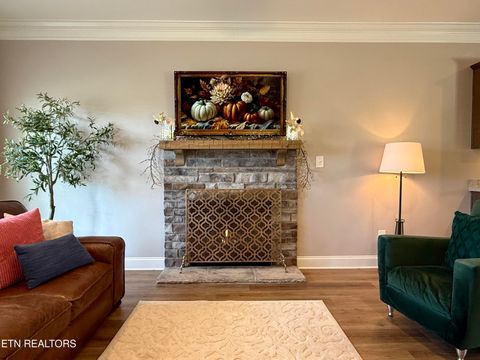 Tiny photo for 103 Bunchberry Rd, Oak Ridge, TN 37830 (MLS # 1317393)