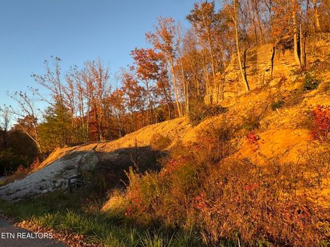 Photo of Big Ridge Rd, Oneida, TN 37841 (MLS # 1323215)