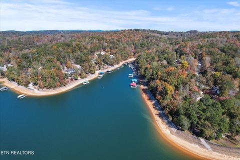 Tiny photo for 1305 Cove Pointe Rd, LaFollette, TN 37766 (MLS # 1319795)