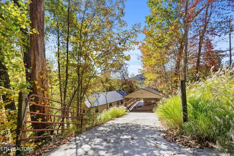 Tiny photo for 1305 Cove Pointe Rd, LaFollette, TN 37766 (MLS # 1319795)