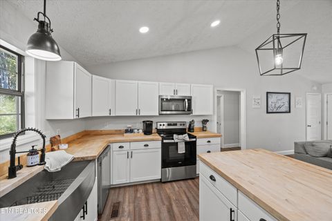 Tiny photo for 1305 Cove Pointe Rd, LaFollette, TN 37766 (MLS # 1319795)