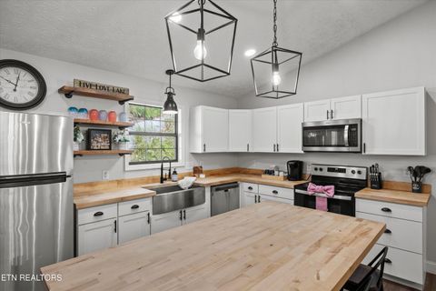 Tiny photo for 1305 Cove Pointe Rd, LaFollette, TN 37766 (MLS # 1319795)