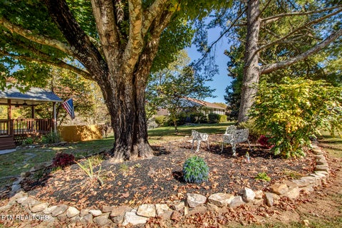 Tiny photo for 1346 Mimosa Drive, Louisville, TN 37777 (MLS # 1360161)