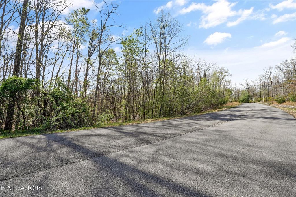 Photo of 313 Country Wood Place, Harriman, TN 37748 (MLS # 1314637)