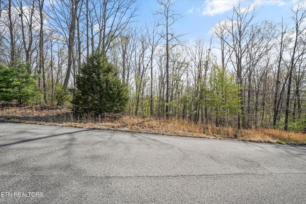 Photo of 313 Country Wood Place, Harriman, TN 37748 (MLS # 1314637)