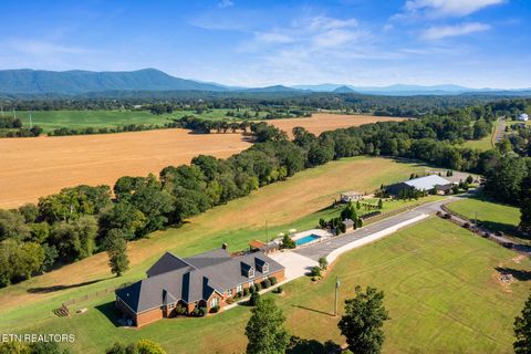 1020 Thomas Rd Benton TN 37307