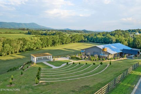 1020 Thomas Rd Benton TN 37307