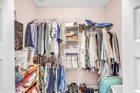 Tiny photo for 176 Old Collins Rd, Deer Lodge, TN 37726 (MLS # 1332462)