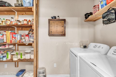 Tiny photo for 176 Old Collins Rd, Deer Lodge, TN 37726 (MLS # 1332462)