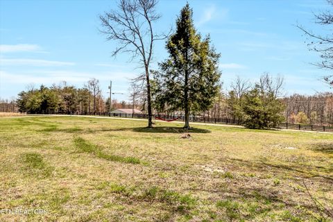 Tiny photo for 176 Old Collins Rd, Deer Lodge, TN 37726 (MLS # 1332462)