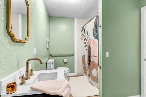 Tiny photo for 176 Old Collins Rd, Deer Lodge, TN 37726 (MLS # 1332462)