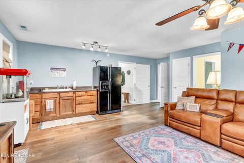 Tiny photo for 176 Old Collins Rd, Deer Lodge, TN 37726 (MLS # 1332462)