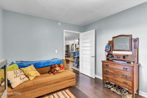 Tiny photo for 176 Old Collins Rd, Deer Lodge, TN 37726 (MLS # 1332462)