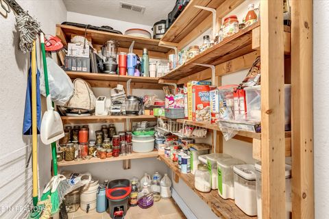 Tiny photo for 176 Old Collins Rd, Deer Lodge, TN 37726 (MLS # 1332462)