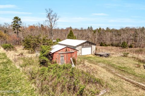Tiny photo for 176 Old Collins Rd, Deer Lodge, TN 37726 (MLS # 1332462)