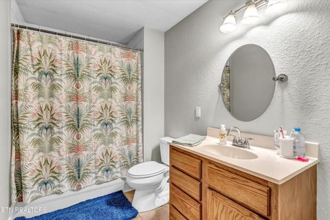 Tiny photo for 176 Old Collins Rd, Deer Lodge, TN 37726 (MLS # 1332462)