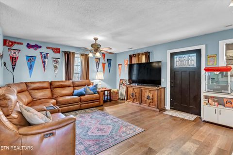 Tiny photo for 176 Old Collins Rd, Deer Lodge, TN 37726 (MLS # 1332462)