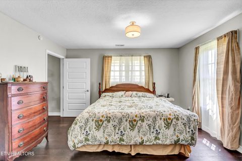 Tiny photo for 176 Old Collins Rd, Deer Lodge, TN 37726 (MLS # 1332462)