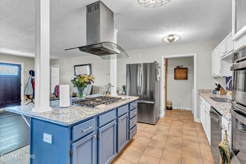 Tiny photo for 176 Old Collins Rd, Deer Lodge, TN 37726 (MLS # 1332462)