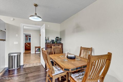 Tiny photo for 176 Old Collins Rd, Deer Lodge, TN 37726 (MLS # 1332462)