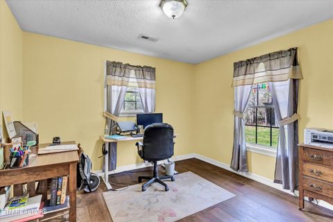 Tiny photo for 176 Old Collins Rd, Deer Lodge, TN 37726 (MLS # 1332462)