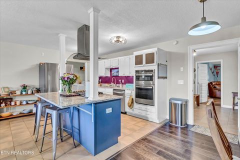 Tiny photo for 176 Old Collins Rd, Deer Lodge, TN 37726 (MLS # 1332462)