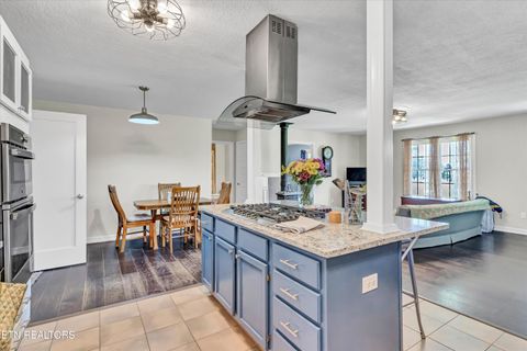 Tiny photo for 176 Old Collins Rd, Deer Lodge, TN 37726 (MLS # 1332462)