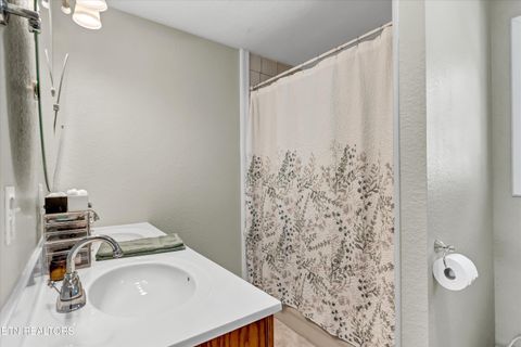 Tiny photo for 176 Old Collins Rd, Deer Lodge, TN 37726 (MLS # 1332462)