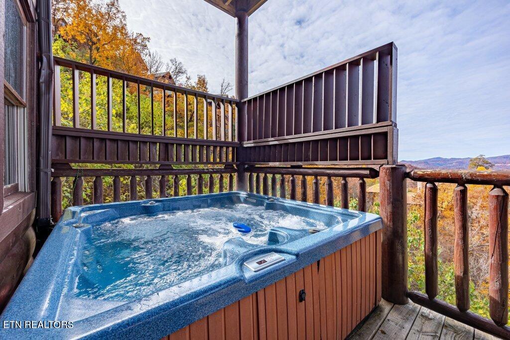 922 Black Bear Cub Way