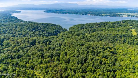 Tiny photo for Fortunato Drive, Baneberry, TN 37890 (MLS # 1335021)