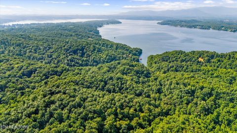 Tiny photo for Fortunato Drive, Baneberry, TN 37890 (MLS # 1335021)