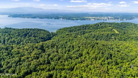 Tiny photo for Fortunato Drive, Baneberry, TN 37890 (MLS # 1335021)