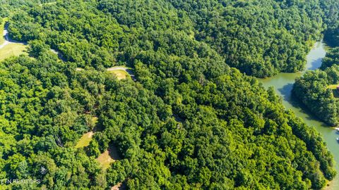 Tiny photo for Fortunato Drive, Baneberry, TN 37890 (MLS # 1335021)