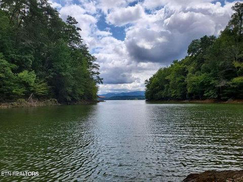 Photo of Fortunato Drive, Baneberry, TN 37890 (MLS # 1335021)