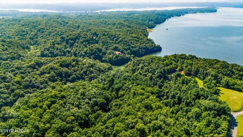 Tiny photo for Fortunato Drive, Baneberry, TN 37890 (MLS # 1335021)