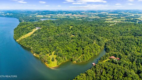 Tiny photo for Fortunato Drive, Baneberry, TN 37890 (MLS # 1335021)