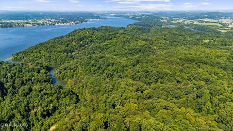 Tiny photo for Fortunato Drive, Baneberry, TN 37890 (MLS # 1335021)