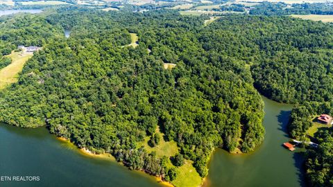 Tiny photo for Fortunato Drive, Baneberry, TN 37890 (MLS # 1335021)