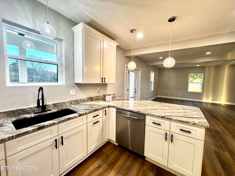 Tiny photo for 1545 Slover Springs Rd, Dandridge, TN 37725 (MLS # 1324217)