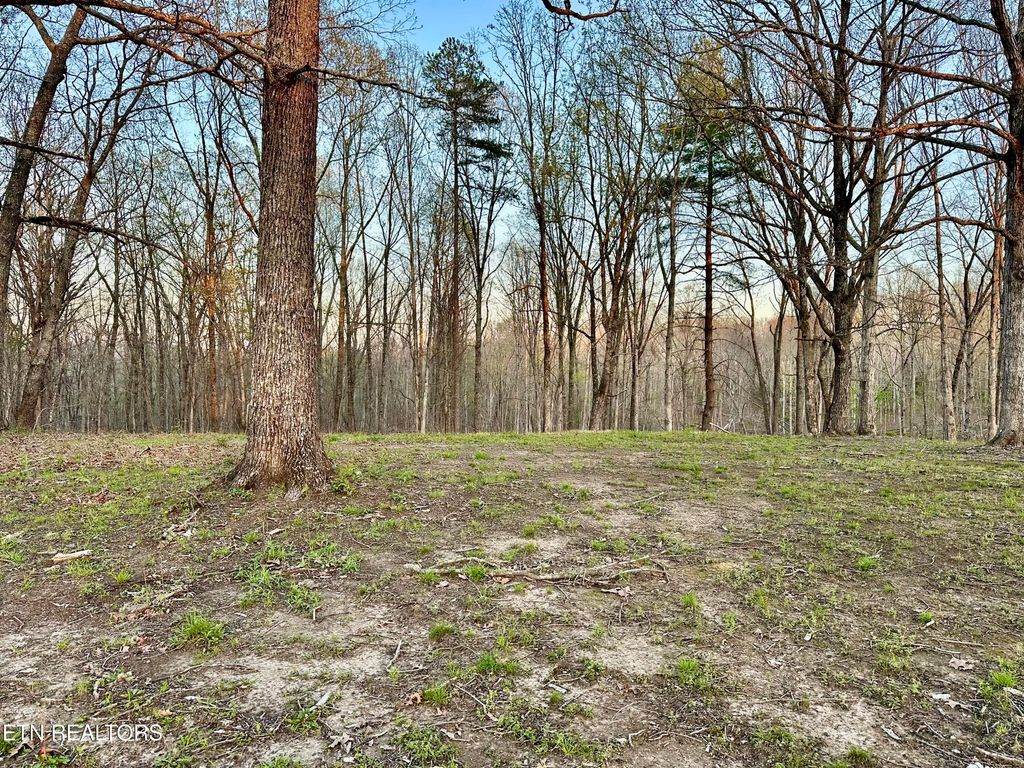 Photo of Hugh Jones Rd, Sunbright, TN 37872 (MLS # 1297926)