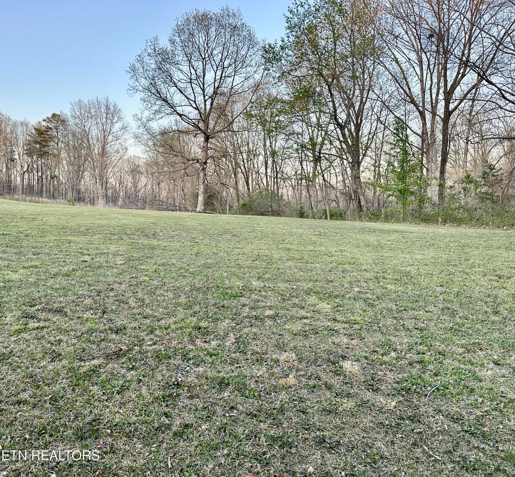 Photo of Hugh Jones Rd, Sunbright, TN 37872 (MLS # 1297926)