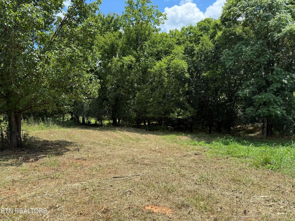 Photo of 135 Itawa Tr, Vonore, TN 37885 (MLS # 1307378)