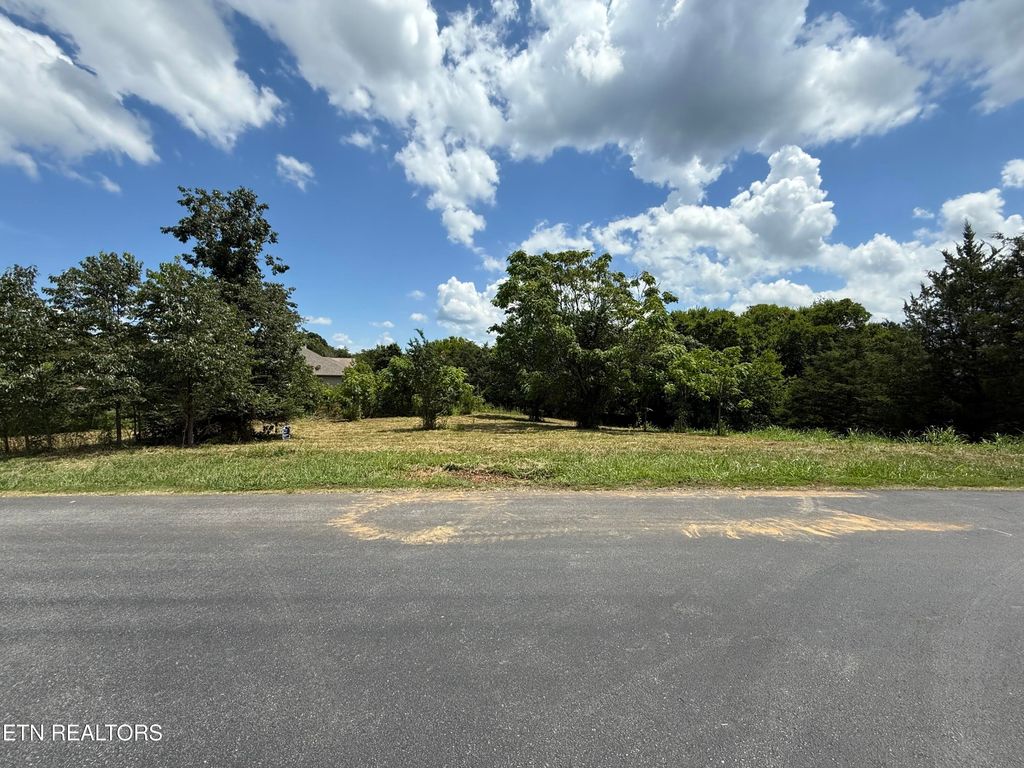 Photo of 135 Itawa Tr, Vonore, TN 37885 (MLS # 1307378)