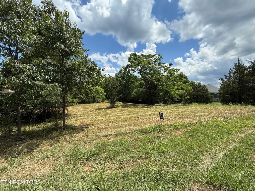 Photo of 135 Itawa Tr, Vonore, TN 37885 (MLS # 1307378)