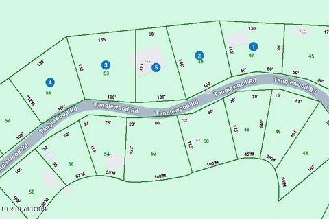 Tiny photo for 755 Tanglewood Rd, Sharps Chapel, TN 37866 (MLS # 1333778)