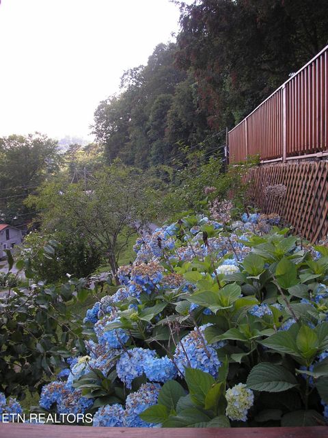 Tiny photo for 755 Tanglewood Rd, Sharps Chapel, TN 37866 (MLS # 1333778)