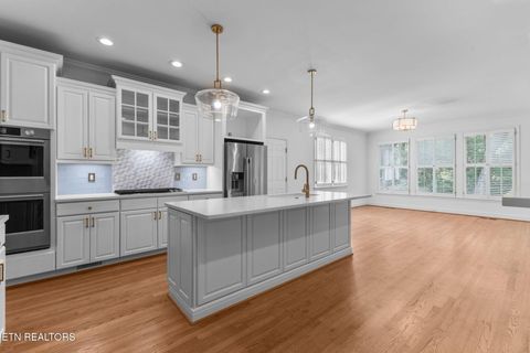 Tiny photo for 1713 Emerson Park Drive, Knoxville, TN 37922 (MLS # 1338374)