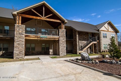 Photo of 338 Shooting Star Loop #203, Townsend, TN 37882 (MLS # 1336002)